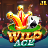 Wild Ace perya plus slot game
